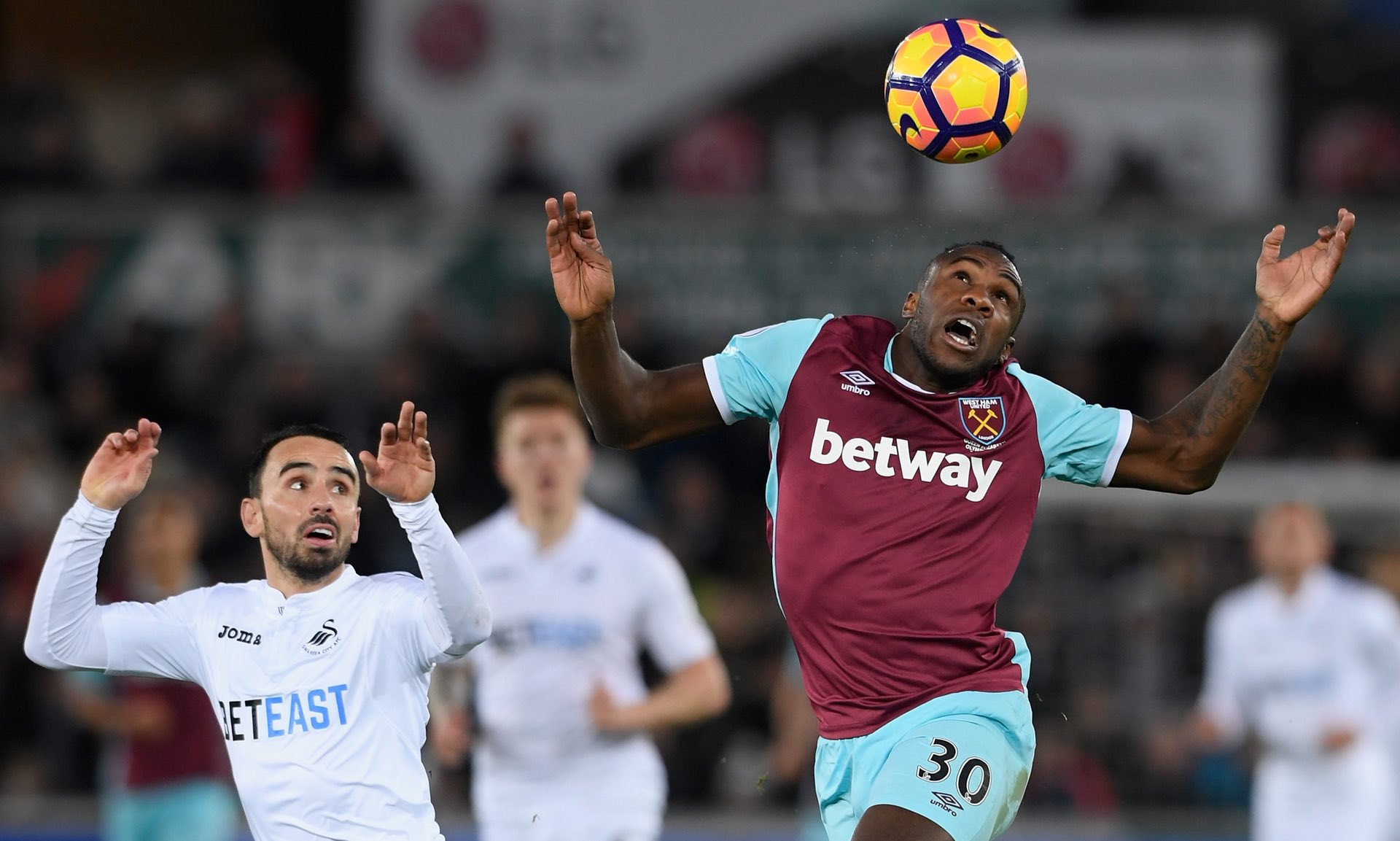 他的身体素 他的身体素